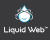 Liquid Web