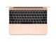 Apple MacBook 12” 2018